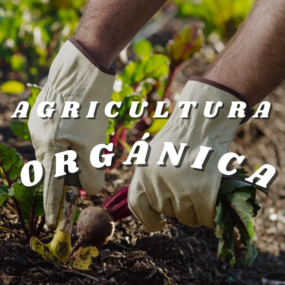 Agricultura orgánica