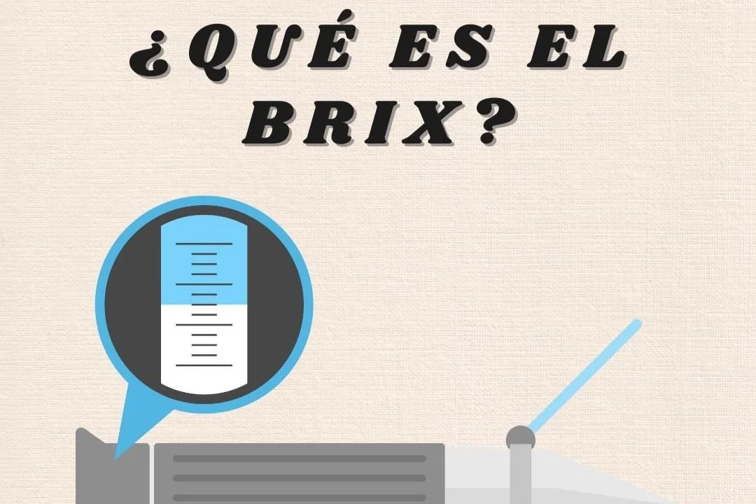 Brix en la elaboración de Vino