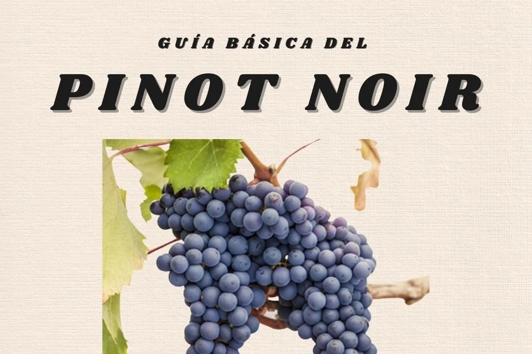 Día del Pinot Noir