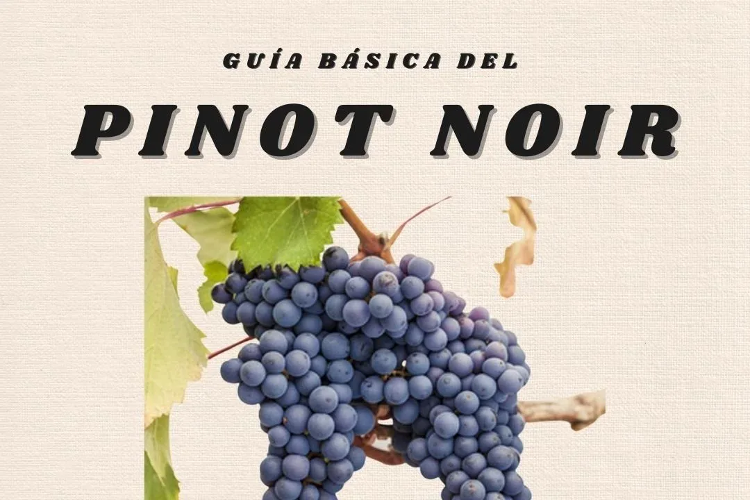 Día del Pinot Noir