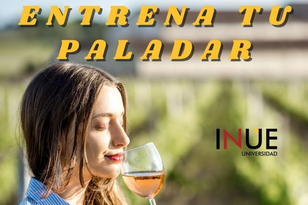 Degustación para futuros profesionales del vino.