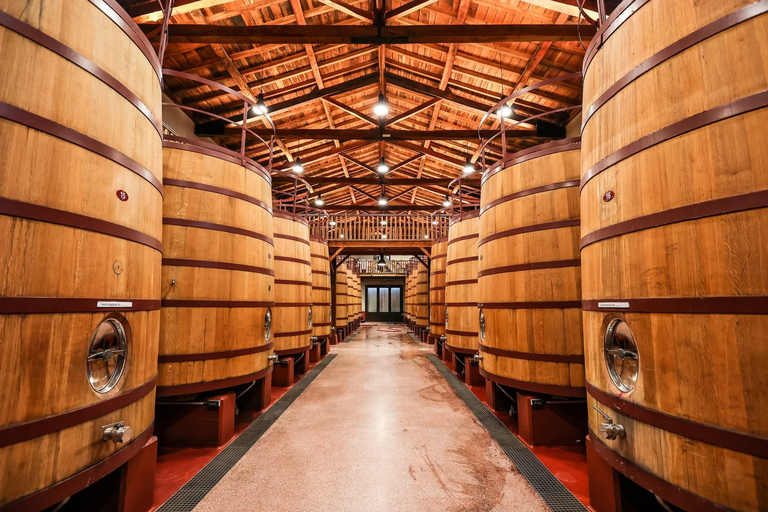 Fermentación del vino