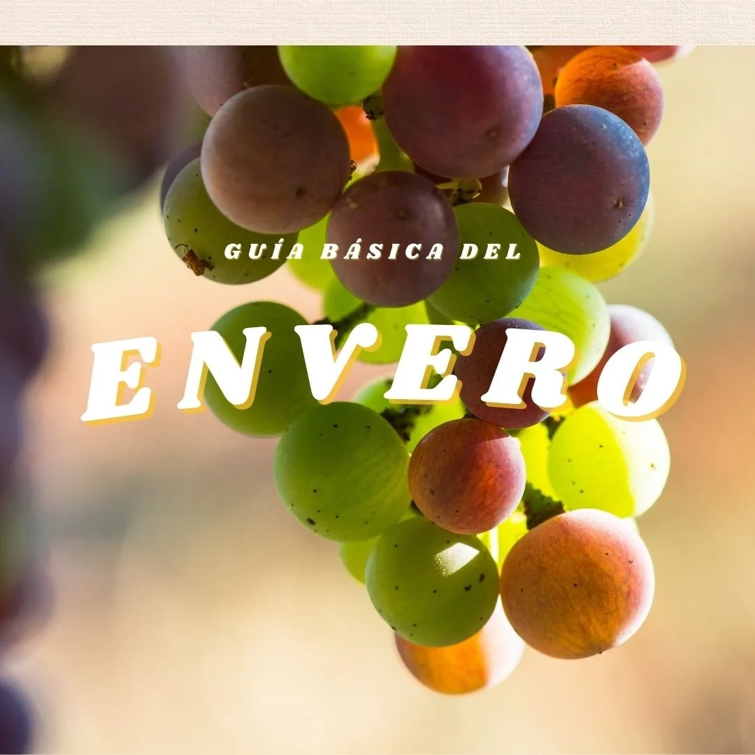Guía básica del Envero