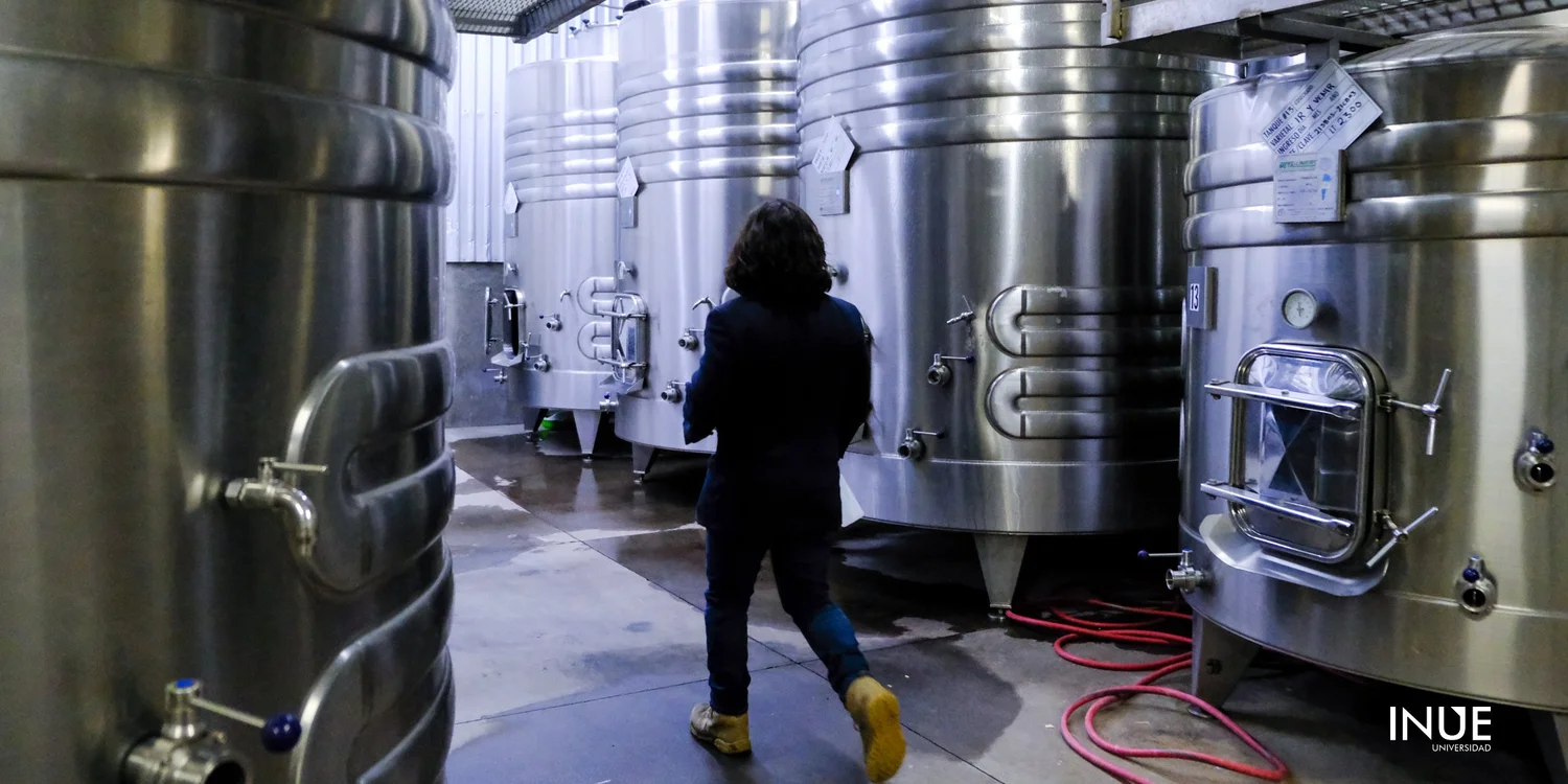 ¿Por qué estudiar viticultura y enología?