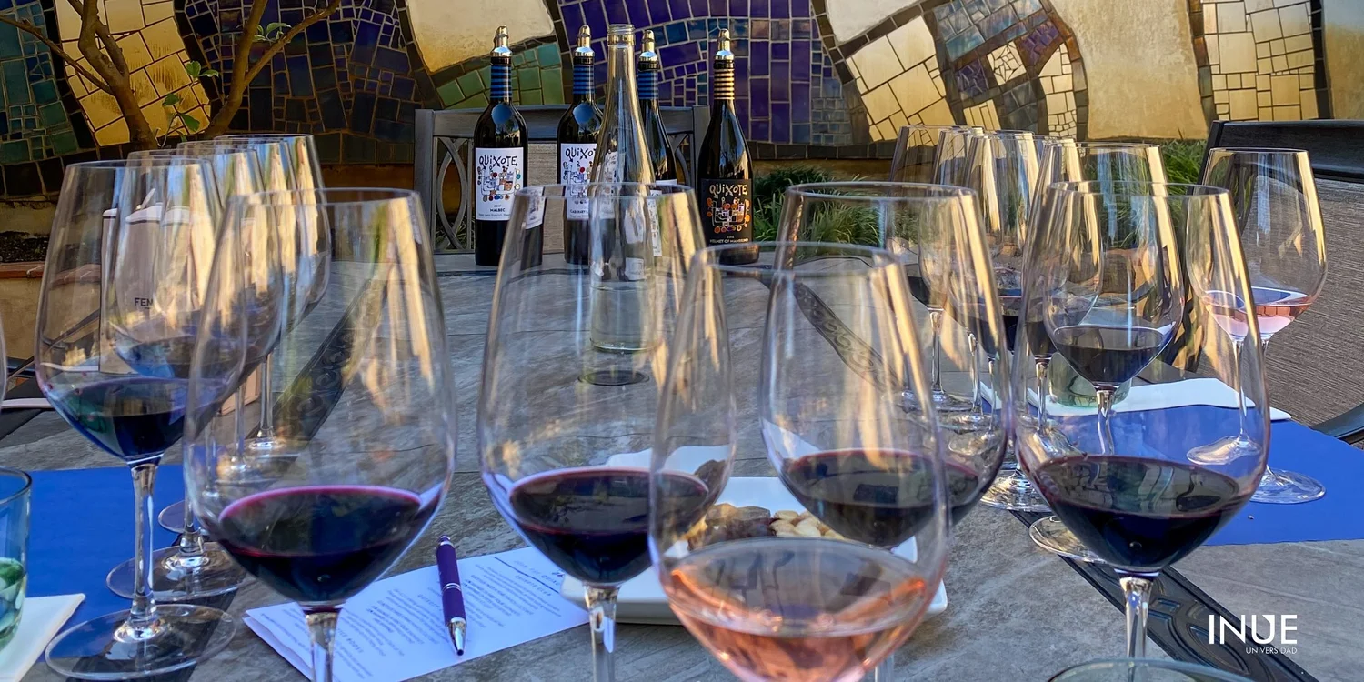 ¿Qué es el vino?