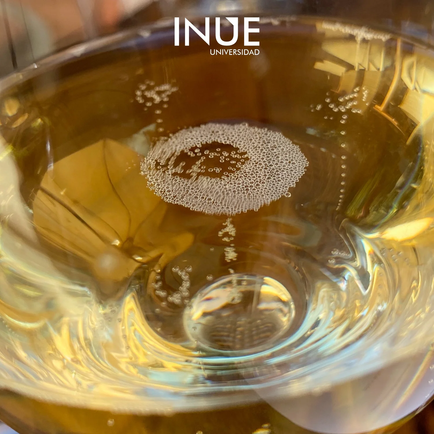 Viaje sensorial por el mundo del vino