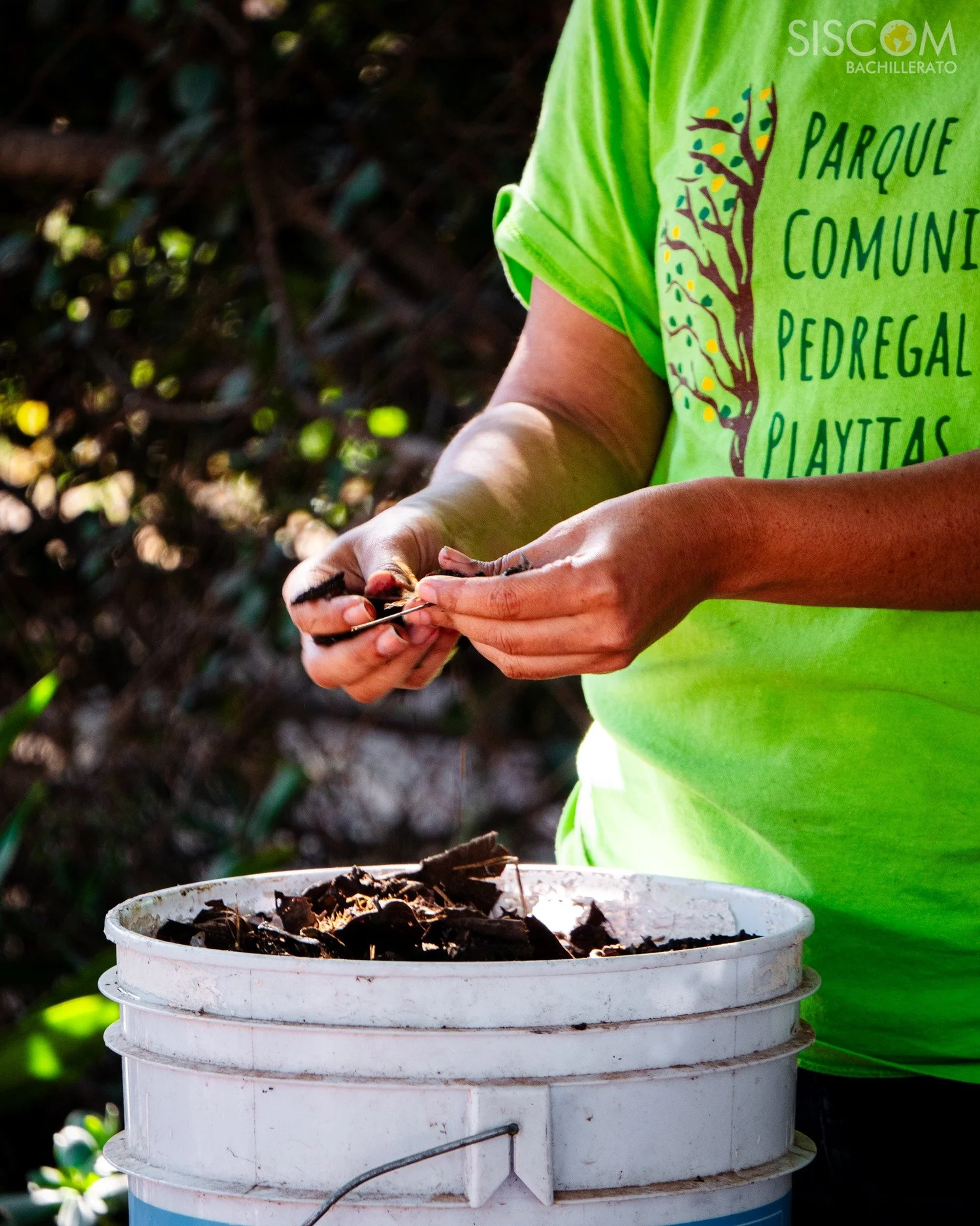 Prácticas sustentables: Composta y Jardinería