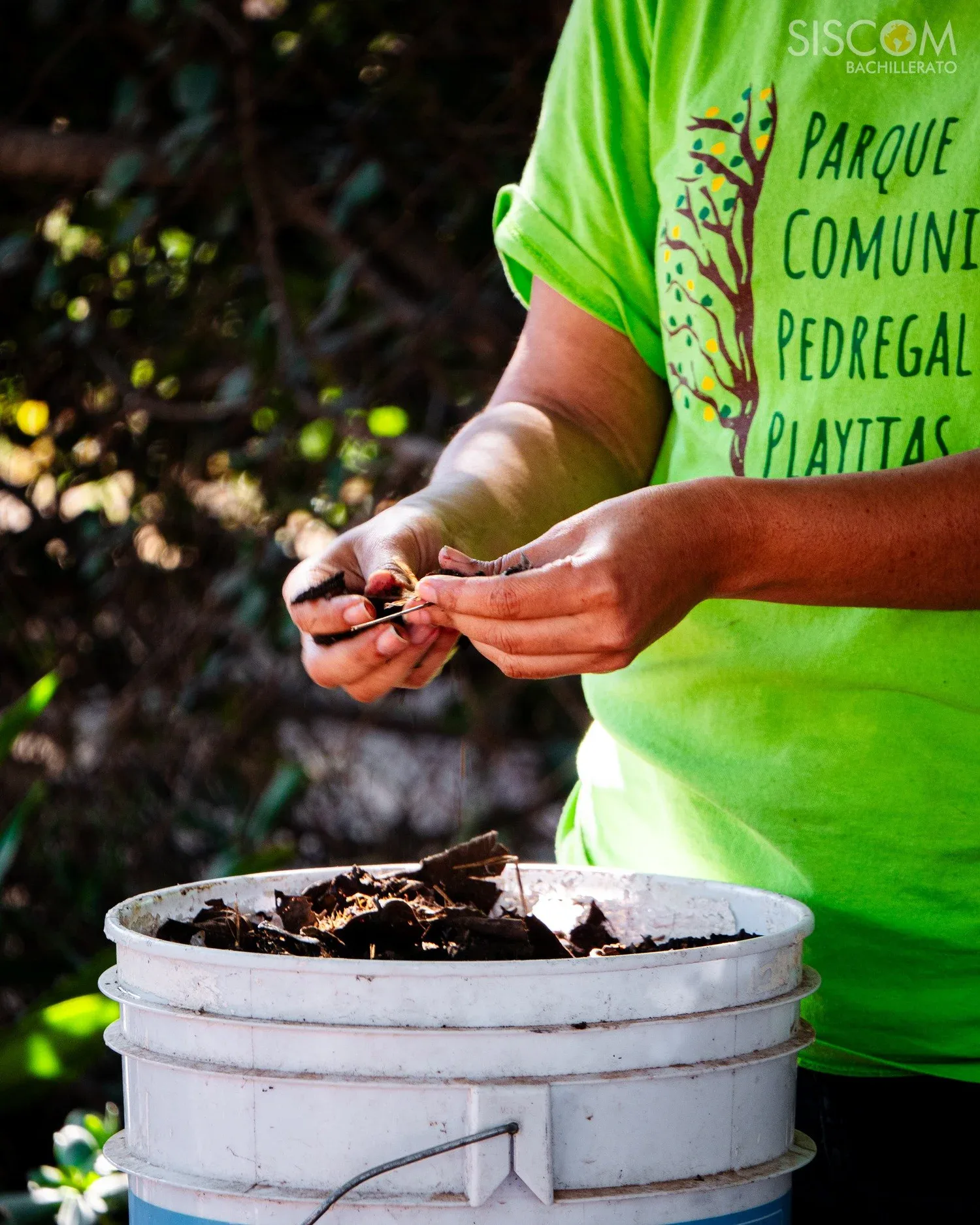 Prácticas sustentables: Composta y Jardinería